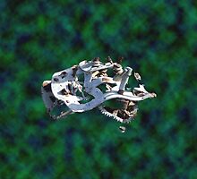 AUSTRALIA - The Inner Workings. by binjy
