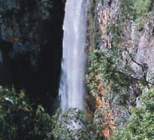 purlingbrook falls by judithtaylor