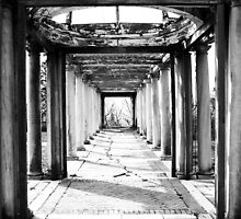 Virginia In Black & White by Tara Johnson