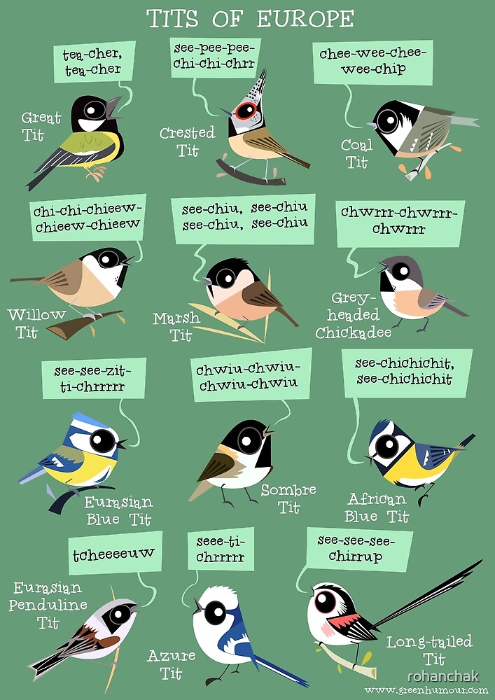 Tits bird strips compilation