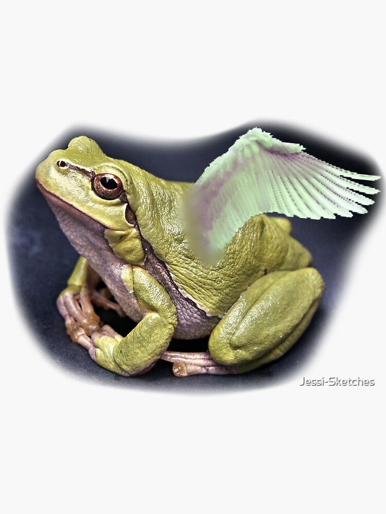 Frog Angel Sticker For Sale By Jessi Sketches Redbubble