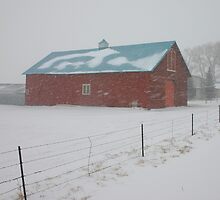 Snowy Day on the Farm by Patricia Montgomery