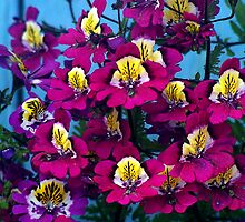 Flower - 10 by Atanu Chanda