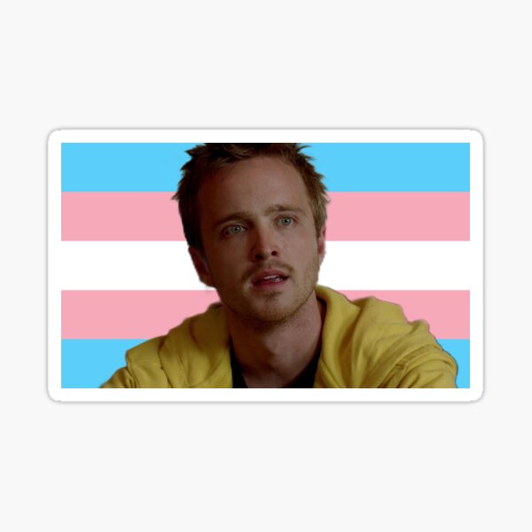 Jesse Pinkman Is Trans Sticker For Sale By Quiettreasure Redbubble