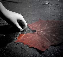 A Treasure To One by Trish Mistric