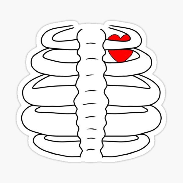 Skeleton Ribs Drawing Sticker For Sale By Nixon Redbubble