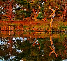 "Morning Reflections" by Phil Thomson IPA