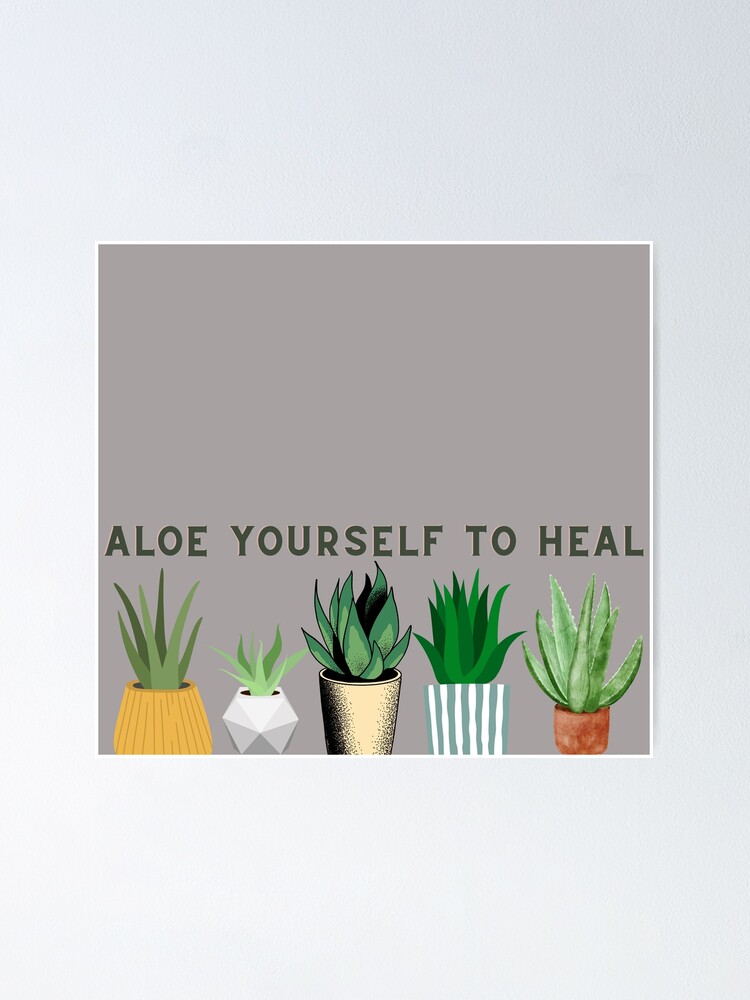 Aloe Yourself To Heal Poster For Sale By Jonesetcetera Redbubble