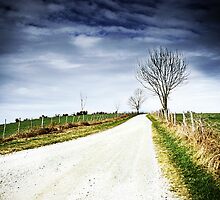 Lonely Road by Alison Cornford-Matheson