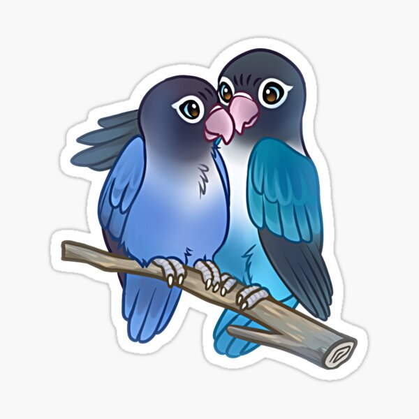 Blue Masked Lovebird Sticker For Sale By Mr Lemur Redbubble