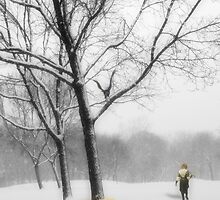 Shattered Dreams by Sarah Moore