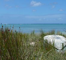 A day on the beach -Lord Howe Island collection by Maike