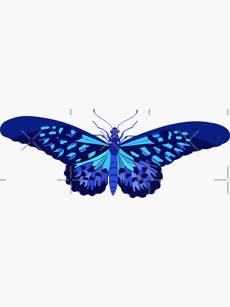 Light Blue Butterfly Aesthetic Butterfly Cute Blue Butterfly