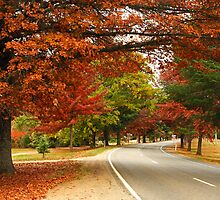 Delany Avenue - Bright by Darren Stones