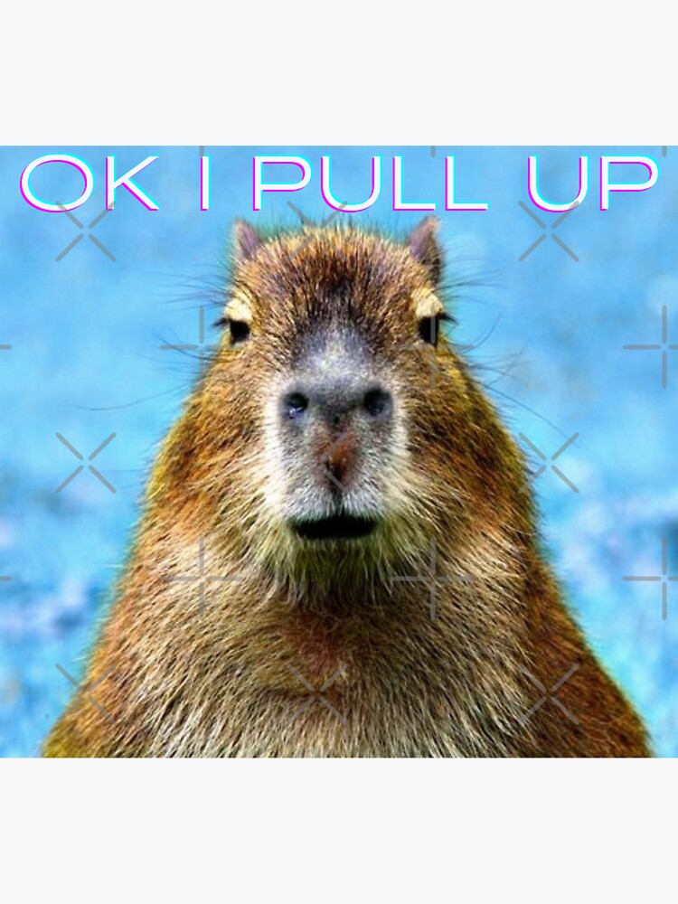 Ok I Pull Up Capybara Sticker For Sale By TheBigSadShop Redbubble