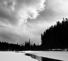 Go Your Own Way by Paul Tupman