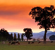 Corryong by Darren Stones
