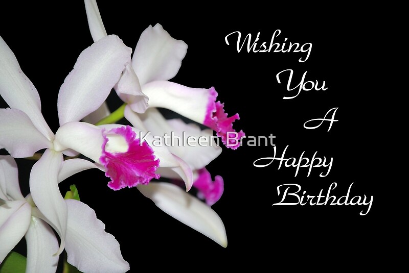 "Orchids Birthday Card " Greeting Cards by Kathleen Brant Redbubble