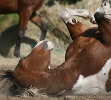 Oh yeah...right there. by Emily Peak