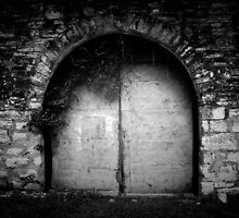 Doors to the Other Side by Trish Mistric