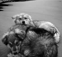 Friendship by Paul Tupman