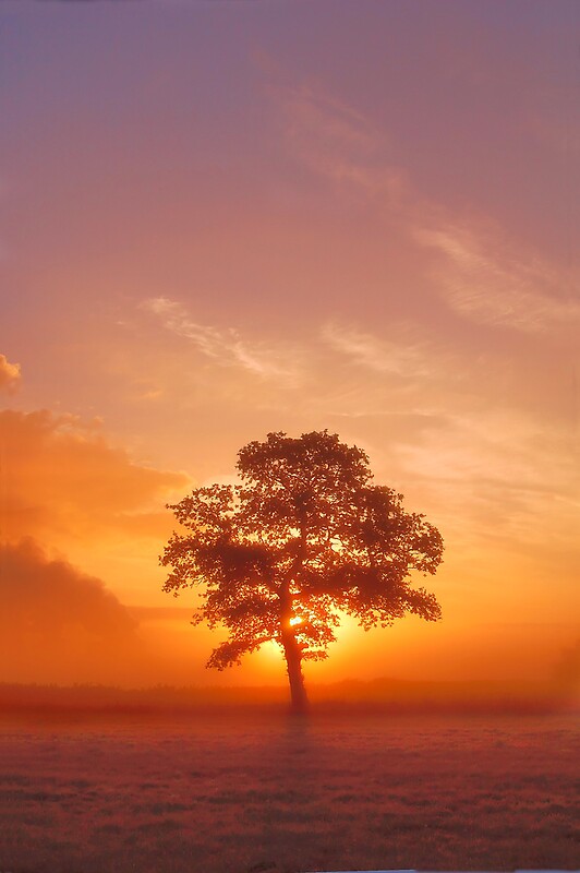 "September Sun" by Andrew Leighton Redbubble