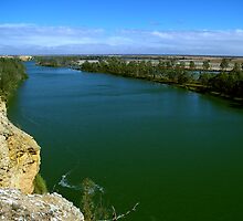 The Murray River by Michael Humphrys