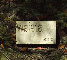 waiata by valumtimes