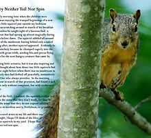 They neither toil nor spin . . . by Bonnie T. Barry