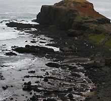 Basalt Outcrop at Cape Shank by Lesley Hill