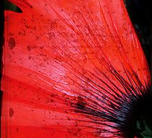 Book Flower by Ron C. Moss