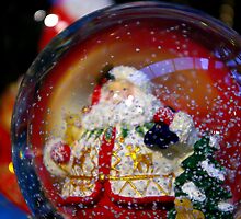 Snow Globe. by Todd Rollins