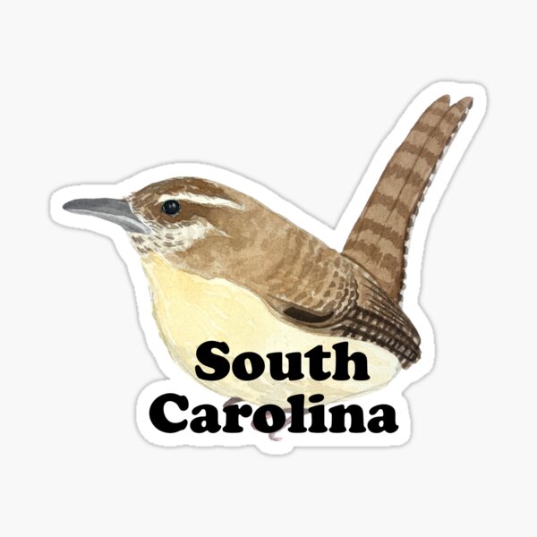 South Carolina Wren State Bird Sticker For Sale By Ficusfoxone