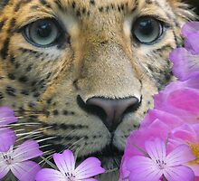 my leopard looking a bit happier by brigdale