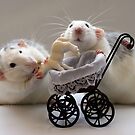 Trying to babysit the little lamb. by Ellen van Deelen