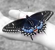 Hold me gently by Olga