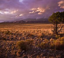 Marvelous Light by Ryan Wright