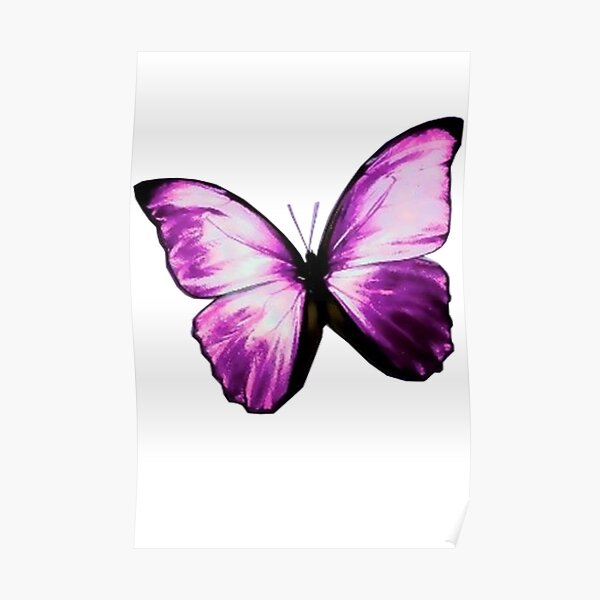 Purple Butterfly Poster For Sale By Kevinzegers Redbubble