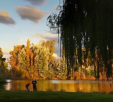 Fishing the Molongolo by Graham Jones