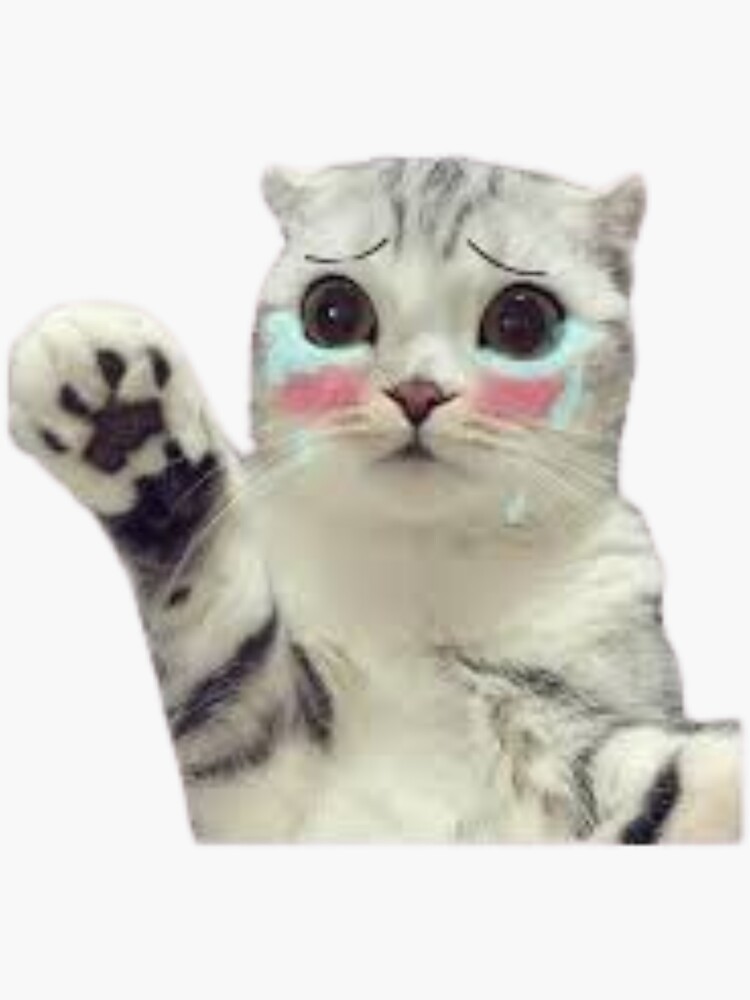 Crying Cat Meme Sticker Sticker For Sale By Achraafshop Redbubble