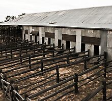 shearing shed by MagnusAgren