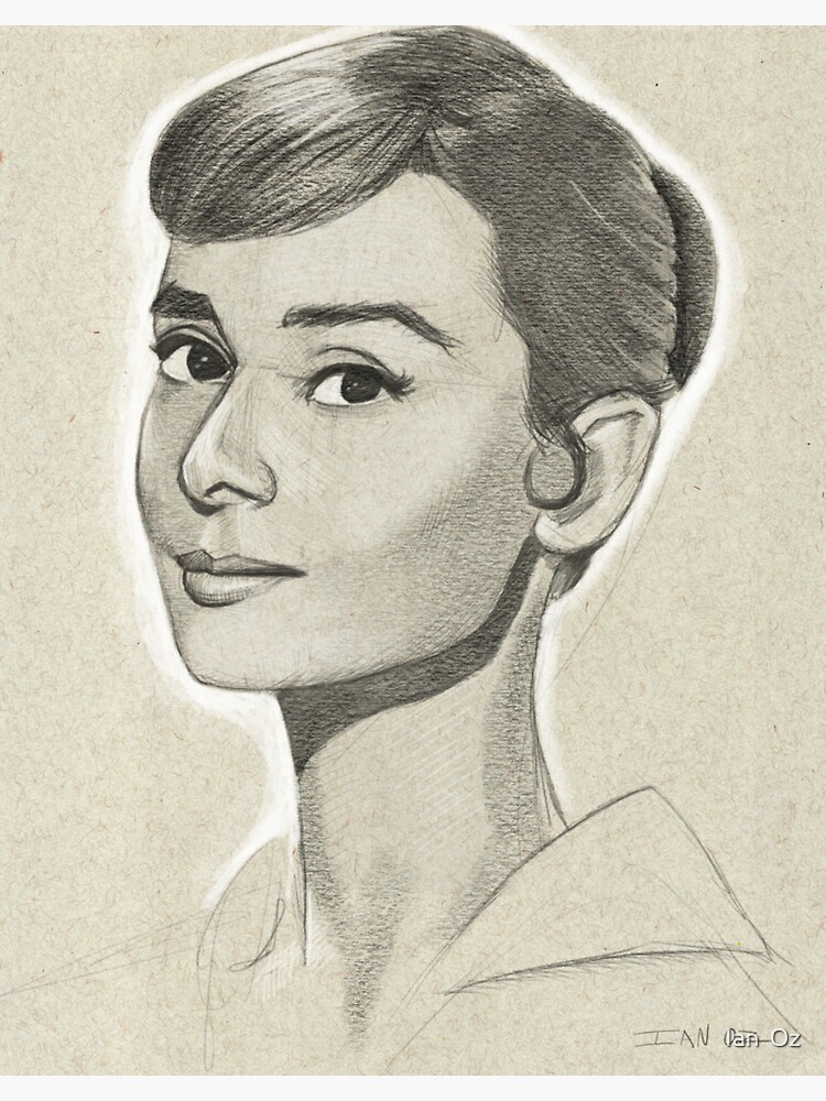 Audrey Hepburn Portrait Drawing Sticker For Sale By Ianoz Redbubble