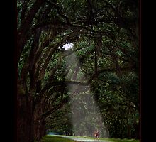 Looking into the Past by bclearphot