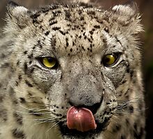 Taste by Cheri McEachin
