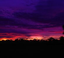 Shepherds Warning by Chris Kean