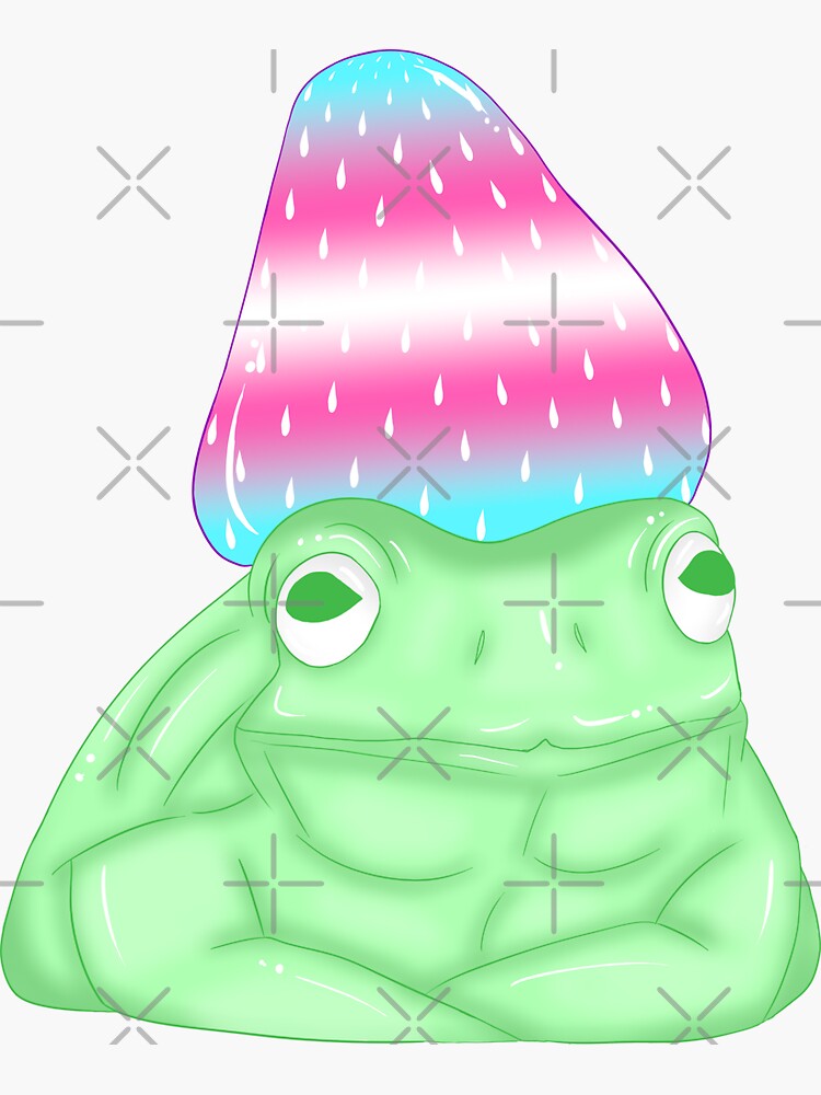 Trans Frog With Strawberry Hat Sticker For Sale By Choco Iix Redbubble