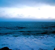 Enigma of The Sea by Julie Marks