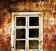 Plantation echoes by Louise Cooke