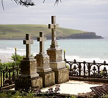 buried with a view by stickelsimages