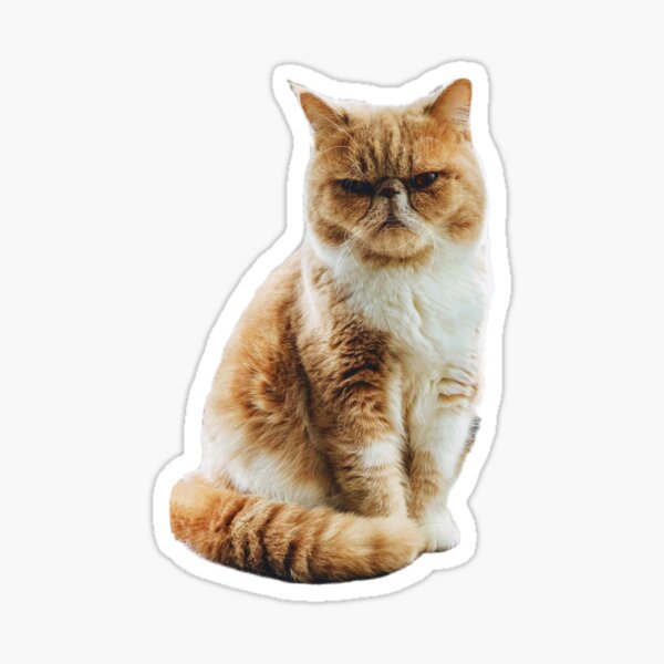 Grumpy Cat Sticker For Sale By Frdah Redbubble